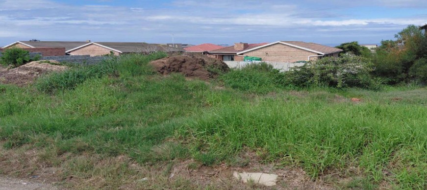  Bedroom Property for Sale in Bluewater Bay Eastern Cape